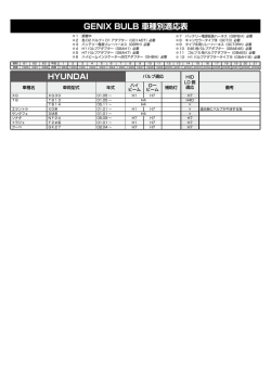 HYUNDAI ヒュンダイ