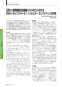 BIO VIEW 55号 | 正常ヒト臍帯静脈内皮細胞（HUVEC）におけるDNA