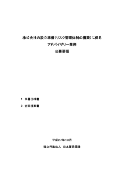 株式会社の設立準備（リスク管理体制の構築）に係る アドバイザリー業務