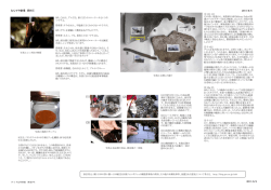 なんでや劇場 資料① なんでや劇場 資料② 2011/6/5 2011/6/5