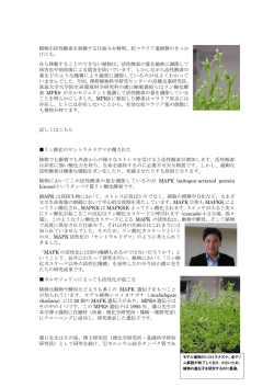 植物が活性酸素を制御する仕組みを解明。 - 生物科学専攻