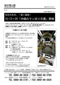 「沖縄のラン切り花展」開催