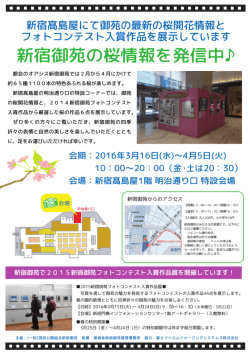 2015フォトコンテストポスター_高島屋桜展