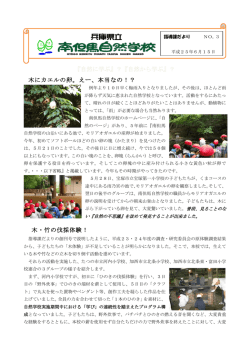 『自然に学ぶ』？『自然から学ぶ』？ 木・竹の伐採体験！ 木にカエルの卵