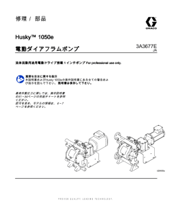 3A3677E, Husky&trade; 1050e 電動ダイアフラムポンプ, 修理