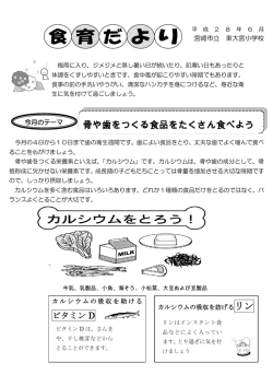 骨や歯をつくる食品をたくさん食べよう