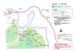 歌才ブナ林 ルートマップ