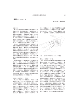 藻類のセルロース