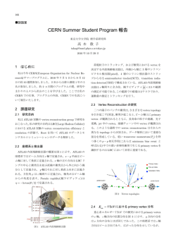 CERN Summer Student Program 報告
