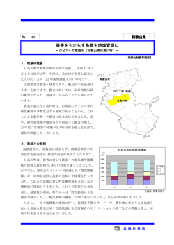 被害をもたらす鳥獣を地域資源に（和歌山県日高川町）（PDF形式：522KB）