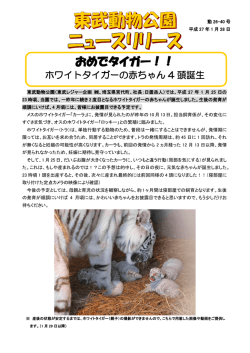 おめでタイガー！！