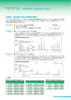 COSMOSIL&reg; Cholester カラム