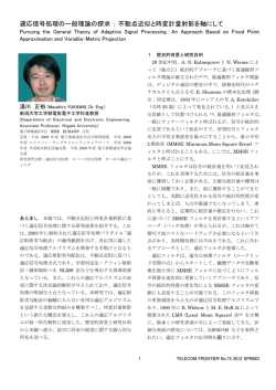 3．適応信号処理の一般理論の探求： 不動点近似と時変計量射影を軸