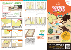 昆虫標本 昆虫標本 - JOYFUL