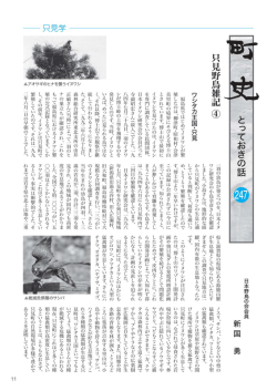 とっておきの話 “触