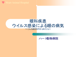 眼科疾患 ウイルス感染による眼の病気