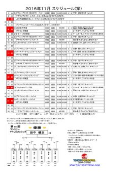 2016年11月 スケジュール(案