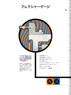 Cover AW.qxd - Solartron Metrology