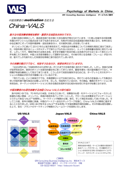 China-VALS - Strategic Business Insights