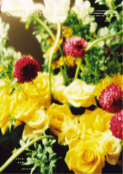 今月の花： 黄色い薔薇 花言葉： 友情 photo by Akiko.K