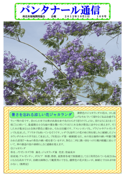 2012年10月 - 南北米福地開発協会