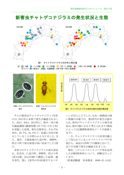 新害虫チャトゲコナジラミの発生状況と生態（PDF：184KB）