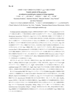 No. 42 生物間で共通する機能未知必須遺伝子 gcp の