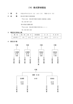 （14）軟式野球競技