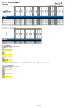 任天堂 任天堂 - SanDisk