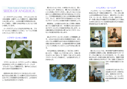 詳細 - 六角健康サロン