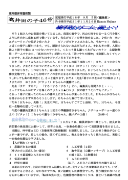 杖イルカ