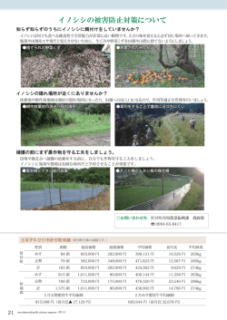 行政情報-7（イノシシの被害防止対策について）