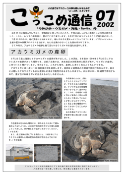 前額板 - 八丈ビジターセンター