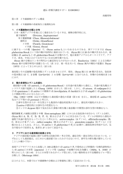 O. nivara，O. rufipogon およ O. sativa の祖