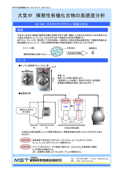 この分析事例のPDFファイルを開く