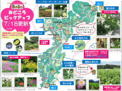 PowerPoint プレゼンテーション