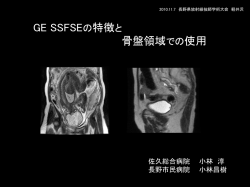 GE SSFSEの特徴と 骨盤領域での使用