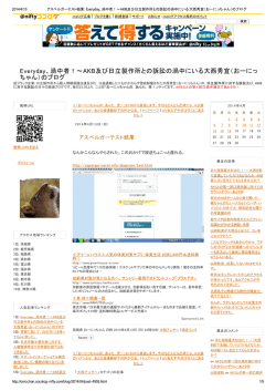 Everyday、渦中者！～AKB及び日立製作所との訴訟の