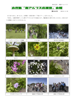 自然塾「南アルプス応援団」会報