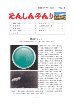 腸炎ビブリオ - 福岡市医師会