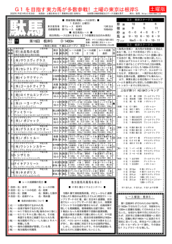 橡 競馬新聞「駄馬」