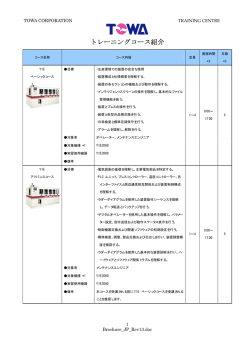 Y-1E AUTO-MOLDING SYSTEM