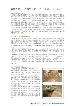 さらに詳しく石灰資材を知る（PDF：30KB）