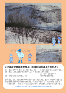 この写真を実物投影機で映して、朝の会の話題にしてみませんか？