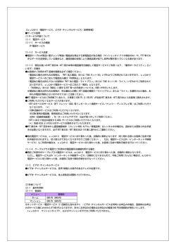 【auひかり（電話サービス、ビデオ・チャンネルサービス）説明事項
