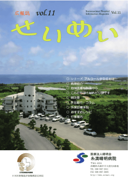 PDFファイル{3.4M} - 医療法人晴明会 糸満晴明病院