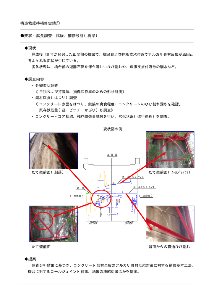 構造物維持補修実績 変状 腐食調査 試験 補修設計 橋梁 現状