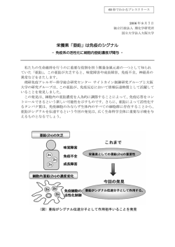 栄養素「亜鉛」は免疫のシグナル - 理化学研究所 統合生命医科学研究