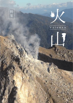 PDF - 中部地質調査業協会