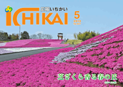 芝ざくら香る春の丘